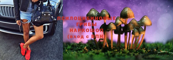 марки lsd Гусиноозёрск